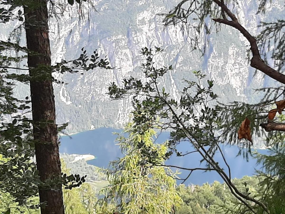 Apartma Bohinj Eksteriør billede